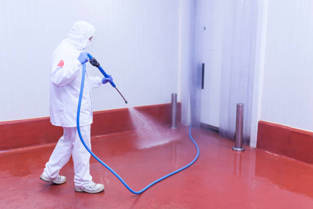 Paint Preparation in Annetta, TX